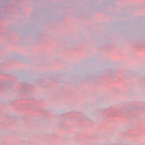 Meet your Posher, Jess